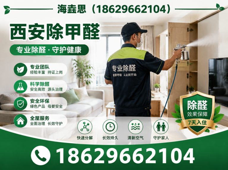 高陵区西安新车甲醛去除展示图